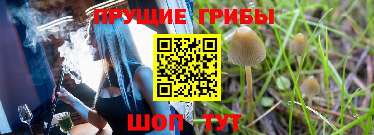 Галлюциногенные грибы мухоморы Старый Оскол