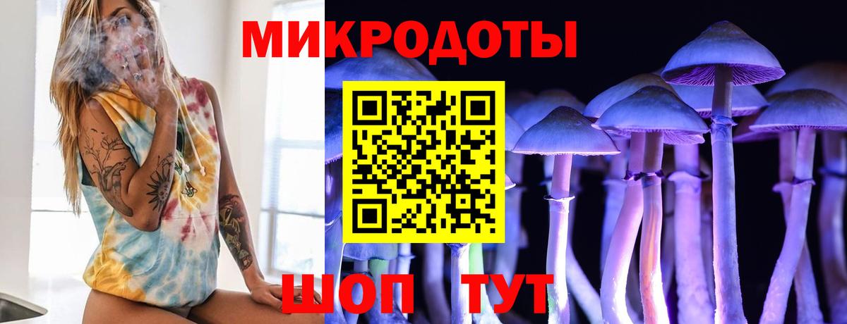 Старый Оскол  Псилоцибиновые грибы Psilocybe  наркота  Галлюциногенные грибы прущие грибы  Вход с VPN 
